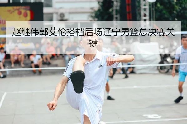 赵继伟郭艾伦搭档后场辽宁男篮总决赛关键