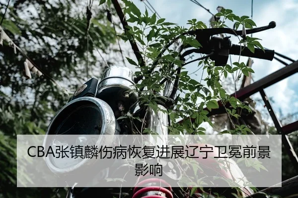 zhang-zhen-lin-shang-bing-hui-fu-jin-zhan-liao-ning-wei-mian-qian-jing-ying-xiang-2-333.jpg