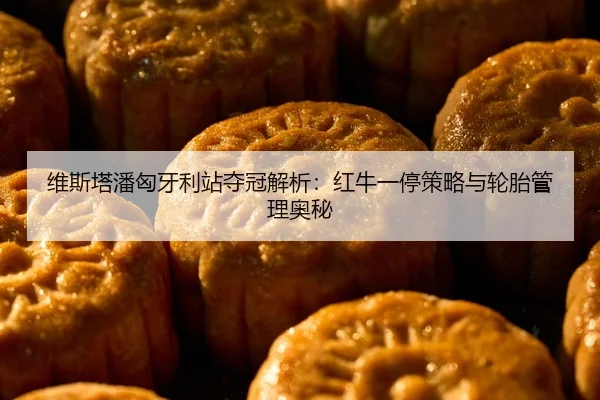 维斯塔潘匈牙利站夺冠解析：红牛一停策略与轮胎管理奥秘